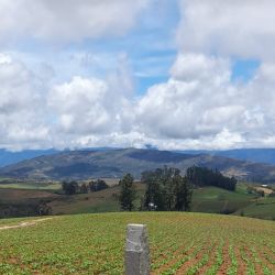 Parcelacion Praderas de la Montaña