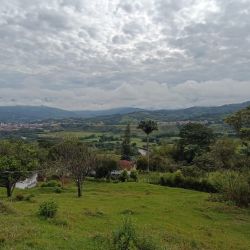 FINCA EN LA VEREDA LA HERRERITA