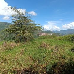 LOTE EN BELLA VISTA