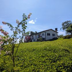 CASA CAMPESTRE LOS ALPES